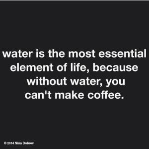 10553310_10152931730476489_1758215420569472713_n