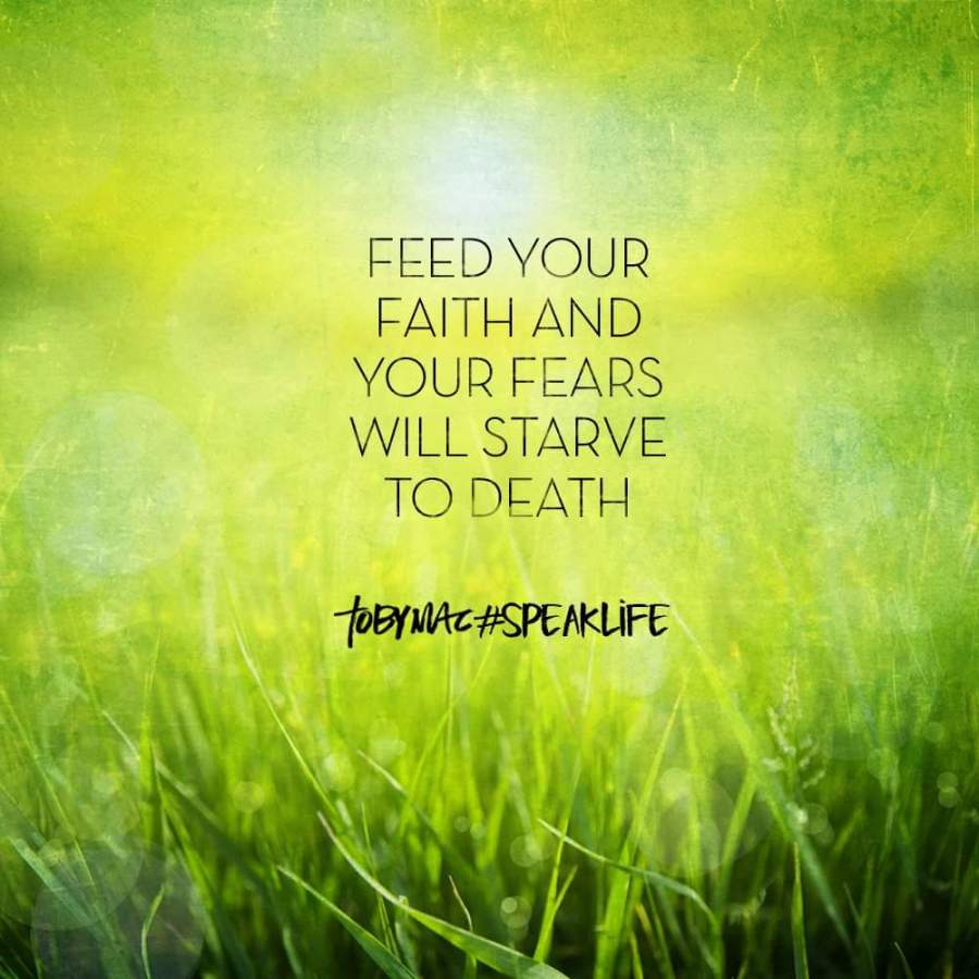 FB_IMG_1464104258164