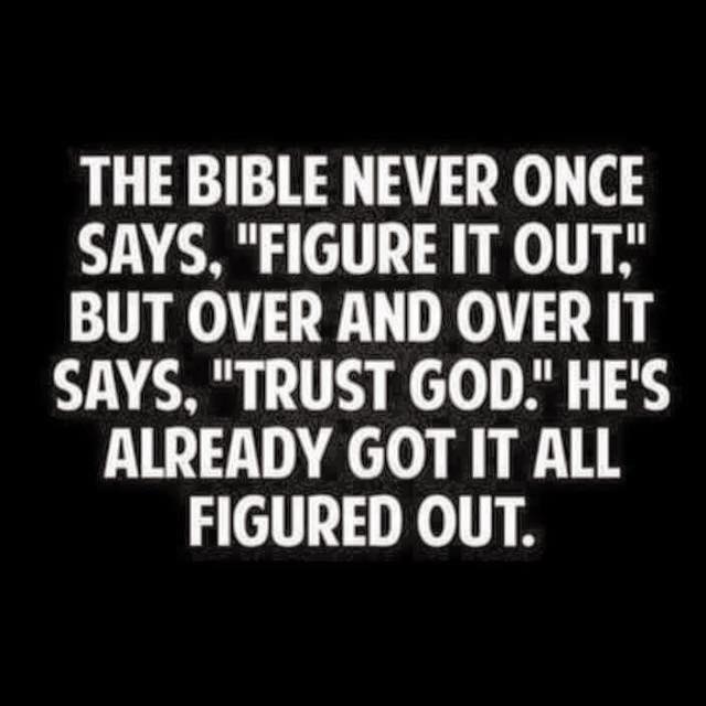 14045959_10210375990621216_4325209780756691446_n