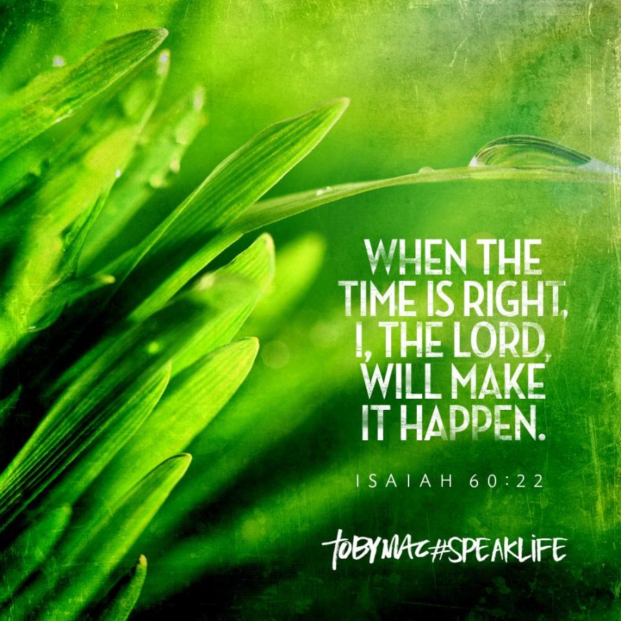 14207757_10153824684141179_8417560035328712403_o