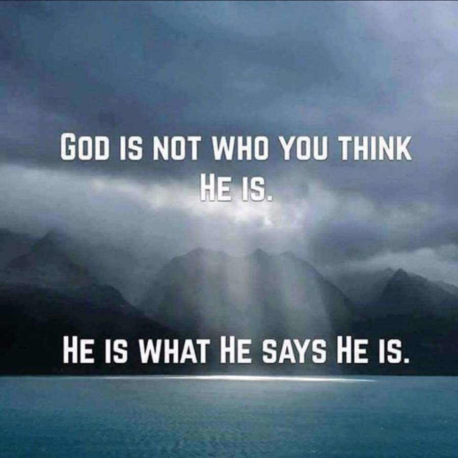 13906905_10208041900743961_7461479122810533155_n