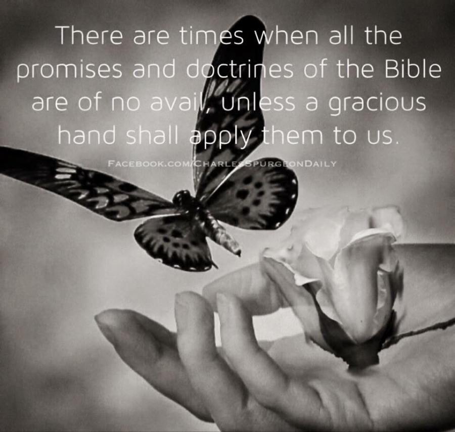 14117810_1770984686474323_3287441397769703257_n