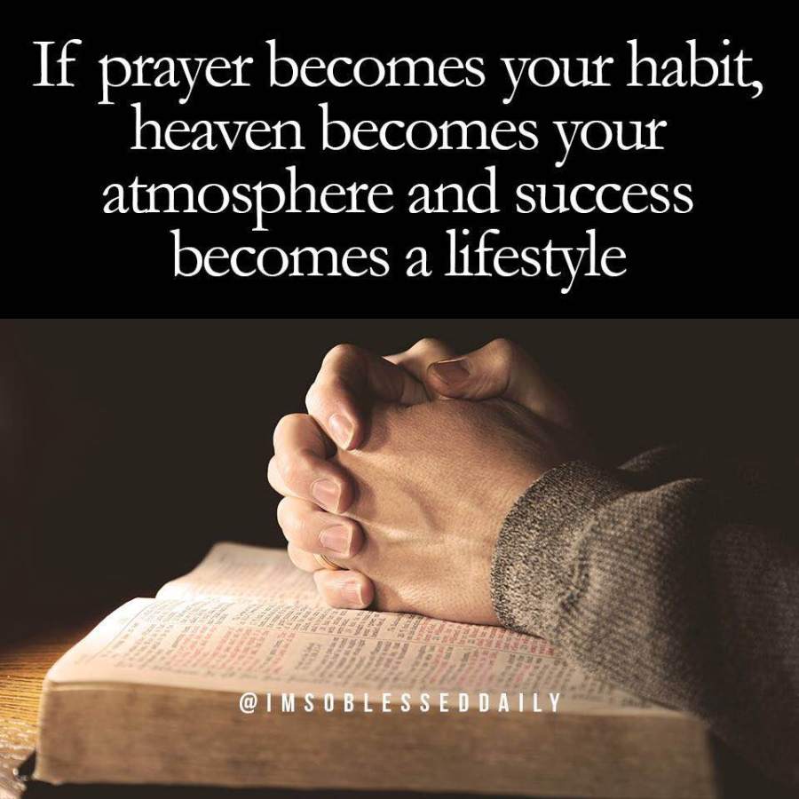 14222283_10210237207829627_6048949028211326095_n