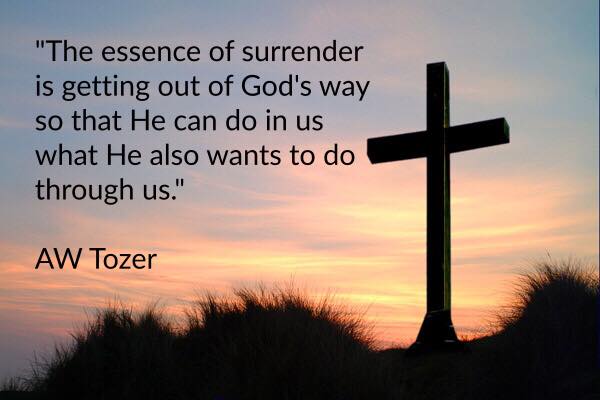 14322525_1114630935250725_5855244991478533334_n