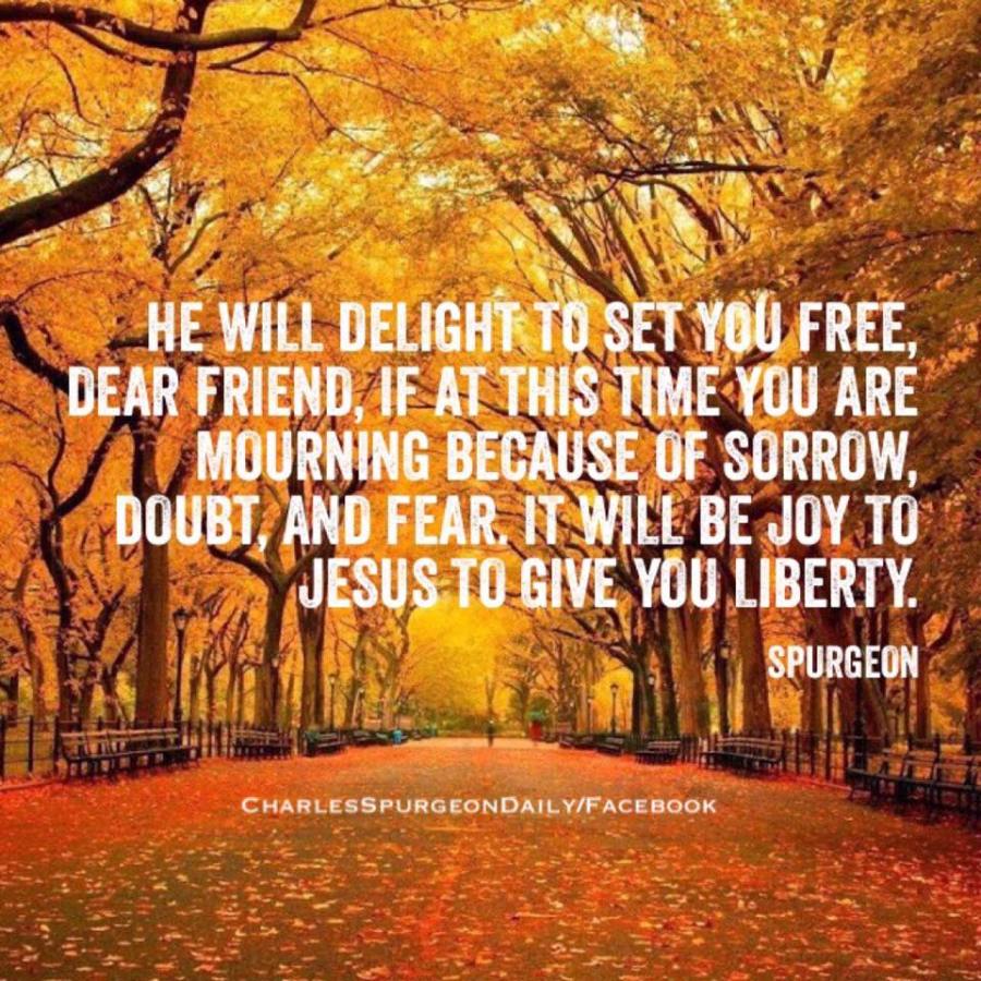 14463294_1794790374093754_972299938478397188_n