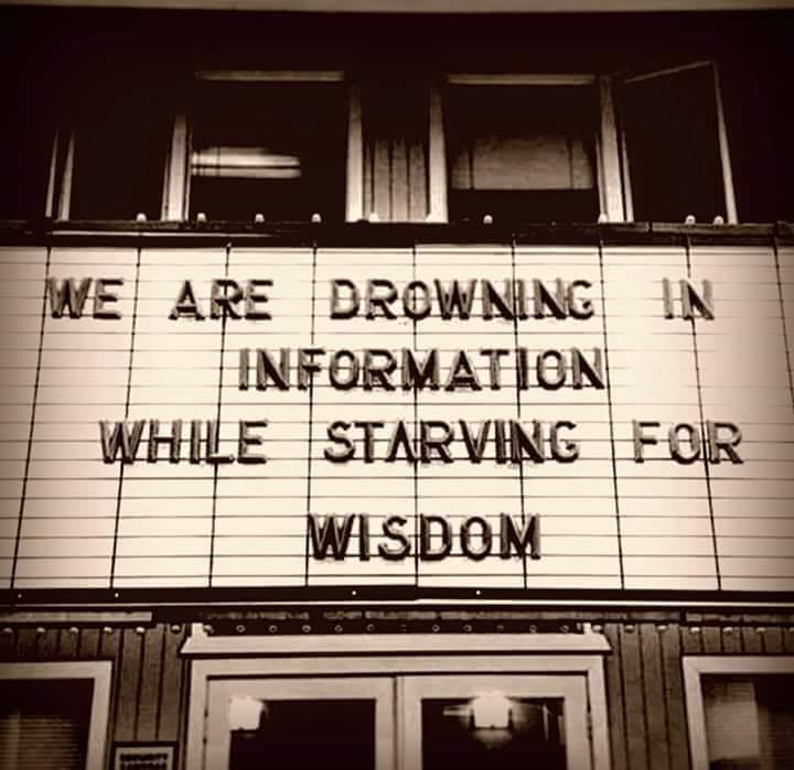 14650072_867736503325798_4160560508469663147_n