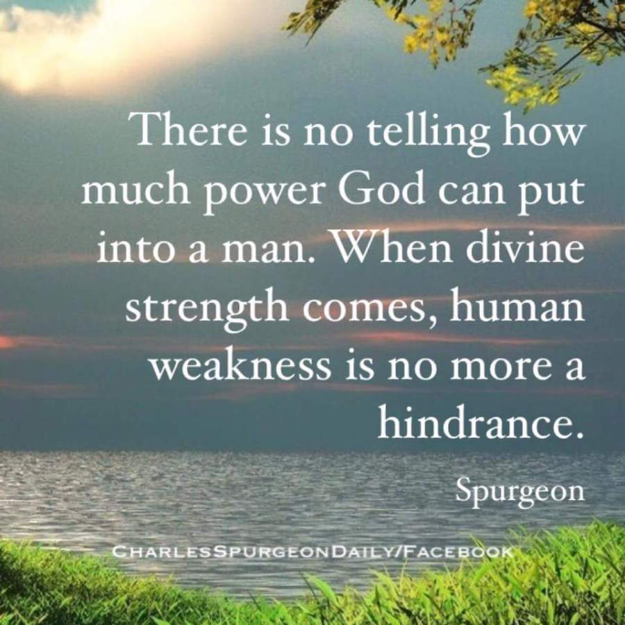 fb_img_1478349792476