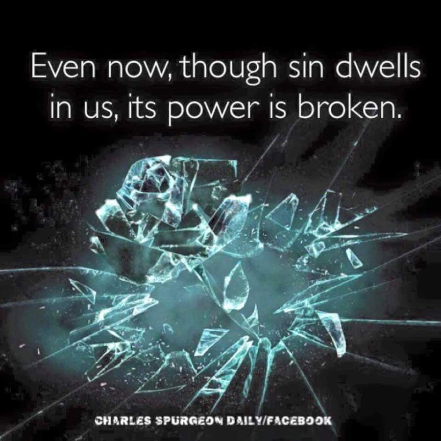 fb_img_1478780258940