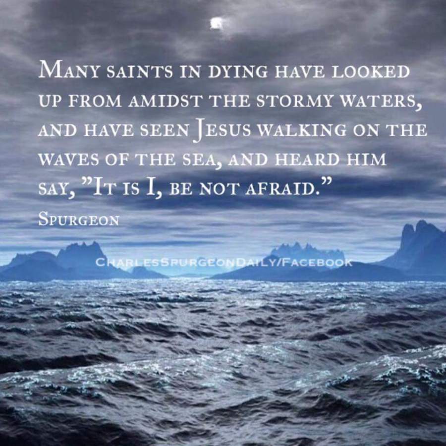 fb_img_1479397115436