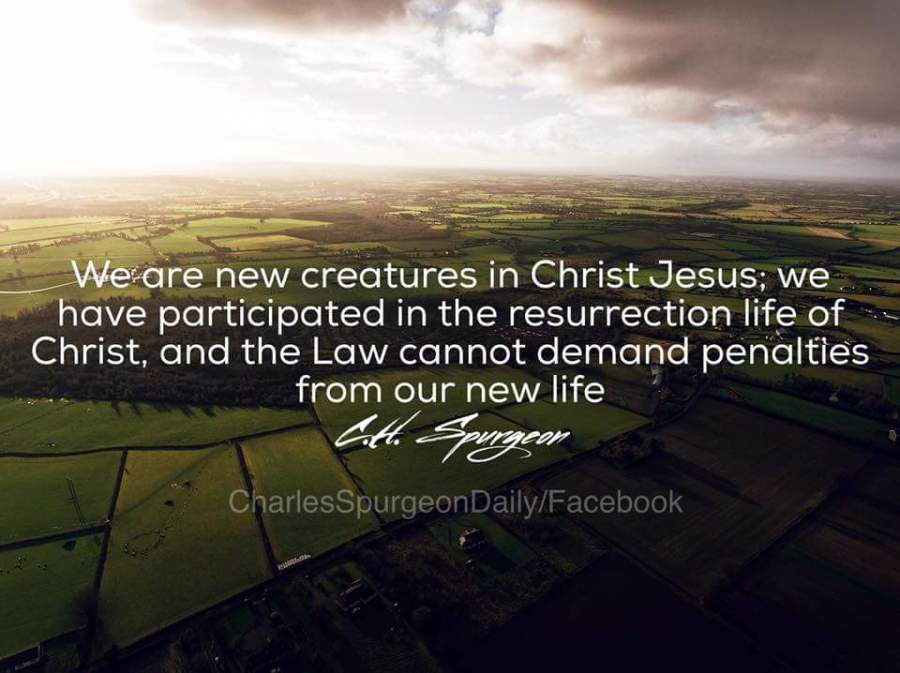 fb_img_1482469027688