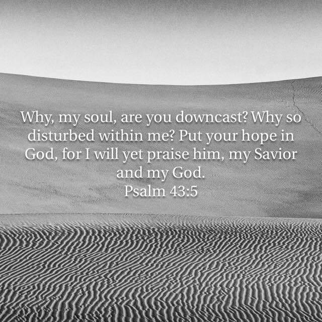 fb_img_1484007140769