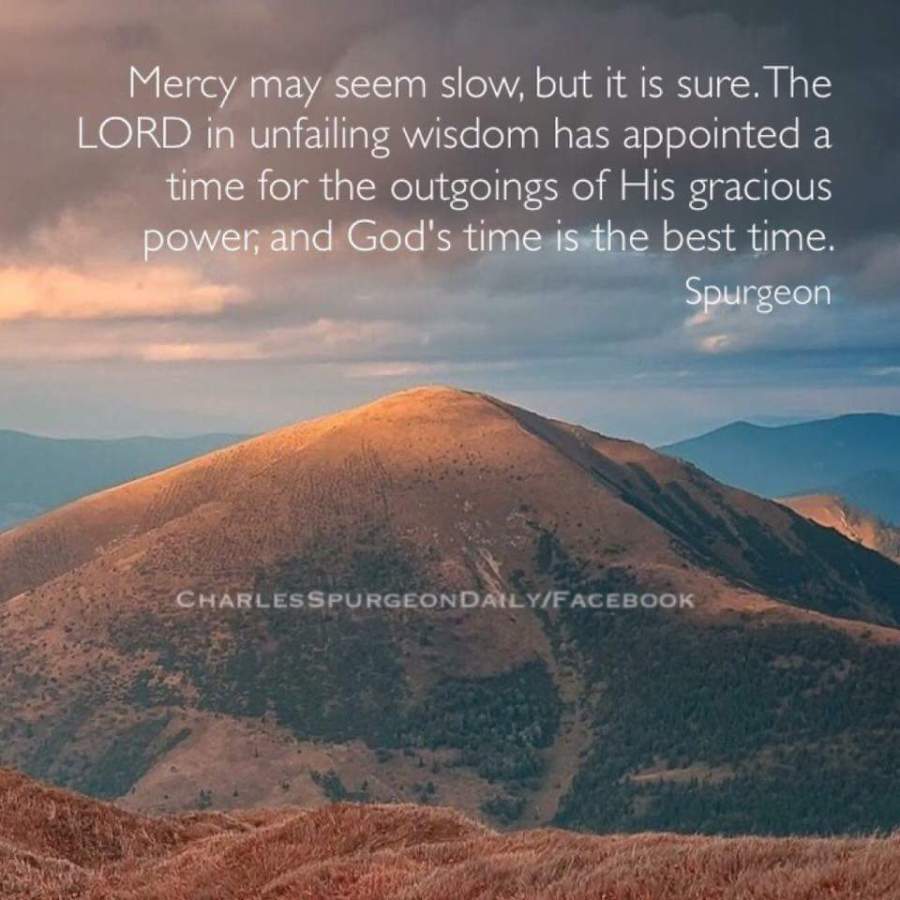 fb_img_1484247756385