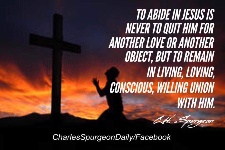 fb_img_1487553427517